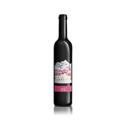 [GAVV5025] Gamay Vieille Vigne 2025 50 cl.
